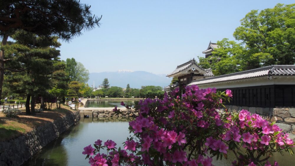 5月の松本城と内堀風景