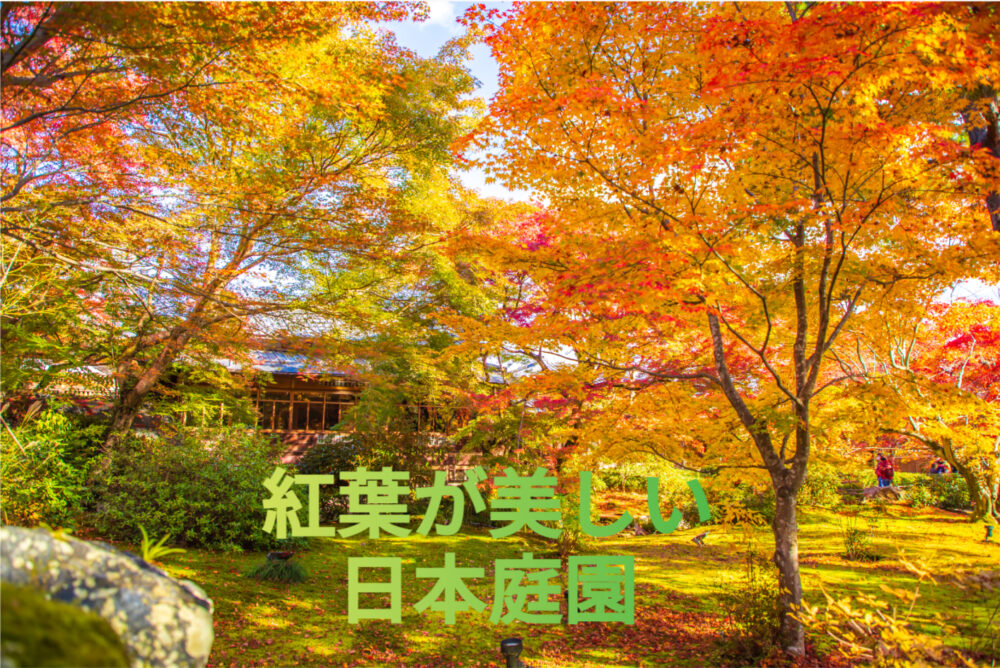 独自が選んだ紅葉が美しい日本庭園