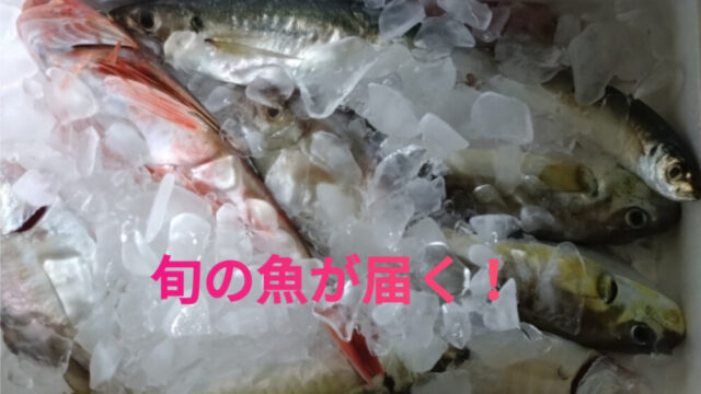 旬の鮮魚