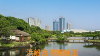 浜離宮恩賜庭園